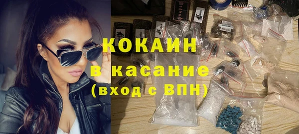 шишки Медногорск