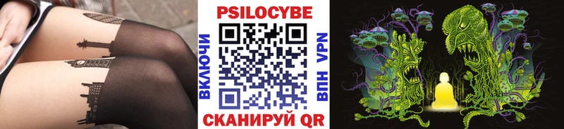 наркотики  Северская  Псилоцибиновые грибы Cubensis 